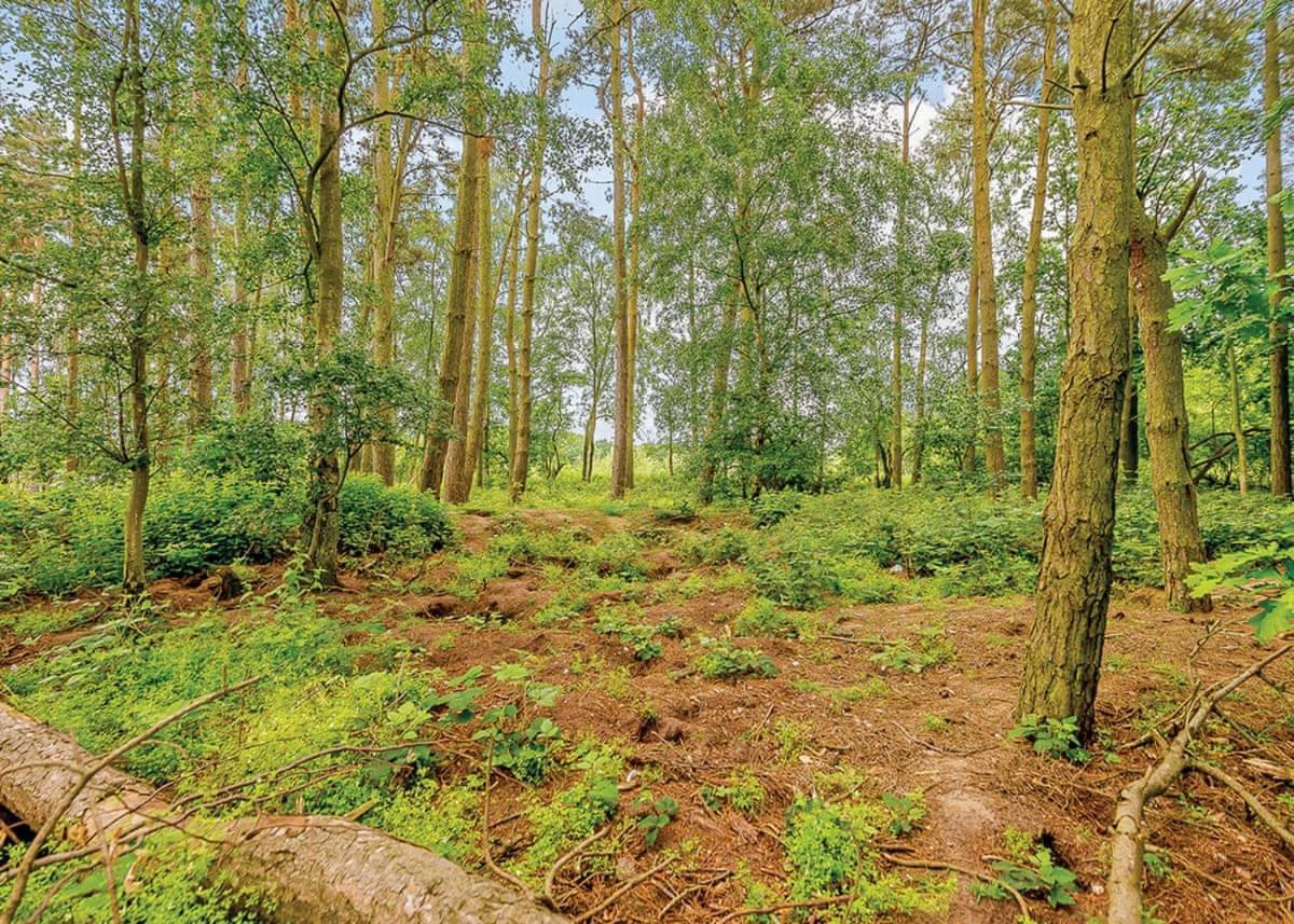 Woodhall Country Park Lodges Woodhall Spa Luaran gambar